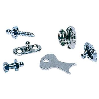 Bouton Tomax Femelle 