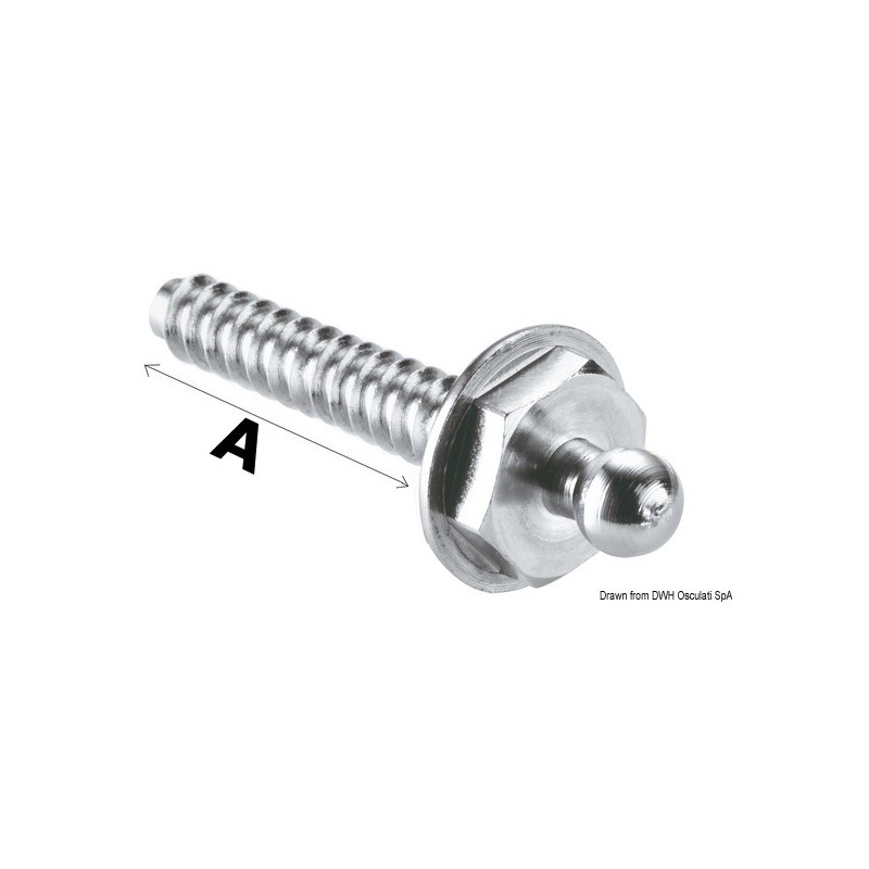 Bouton femelle Tenax Tête grossie 