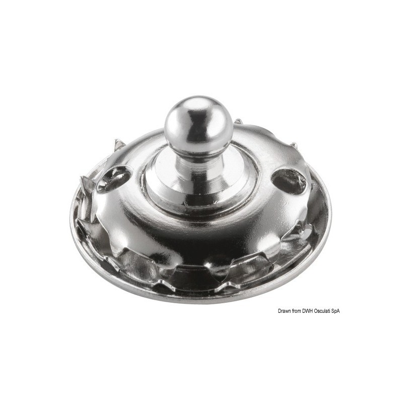 Bouton femelle Tenax Tête grossie 