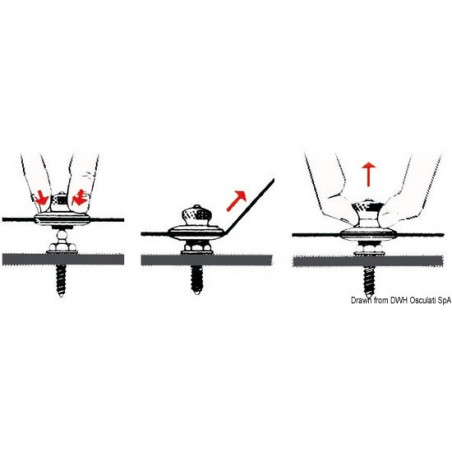 Bouton femelle Tenax Tête grossie 