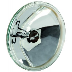Ampoule de rechange 6"