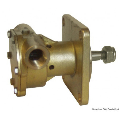 Pompe NAUCO 324485 Pompe NAUCO 324485