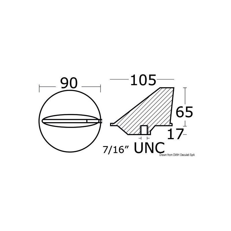 Anode Queue de carpe