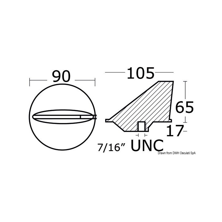 Anode Queue de carpe
