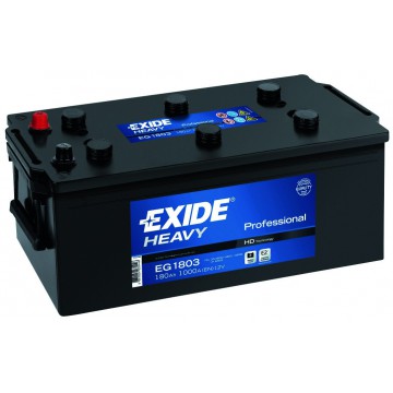 Batteries Exide "Professional"