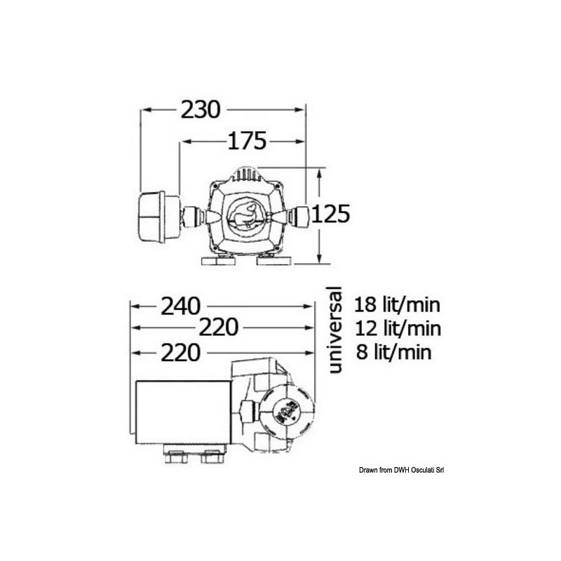 Autoclave Whale Universal