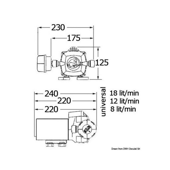 Autoclave Whale Universal