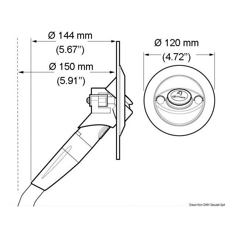 Douche Whale "Twist"