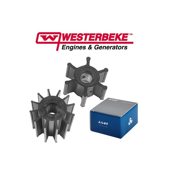 Roues de rechange pour pompes 