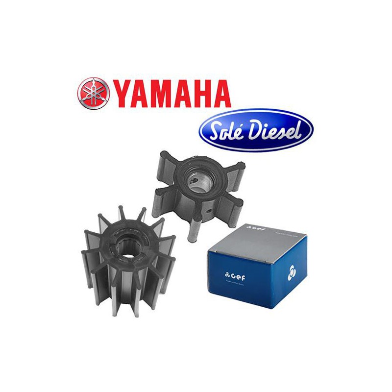 Turbines pour pompes YAMAHA / SOLE