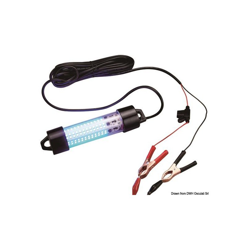 Lumière LED Fish Attractor