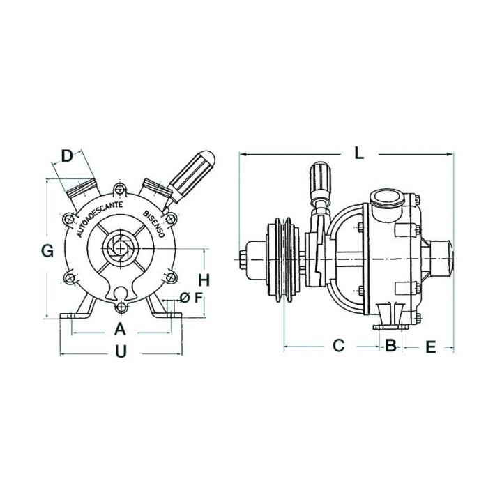 Pompe autoamorçante bronze