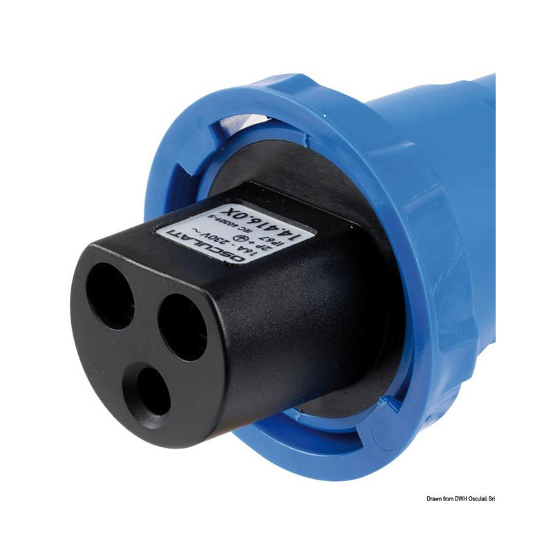 Prise et fiche Cruiser 