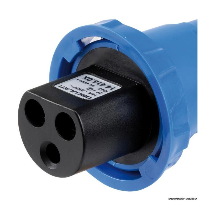 Prise et fiche Cruiser 