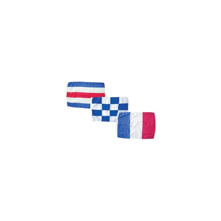 Pavillons obligatoires - C+N+France - 30 x 40 cm