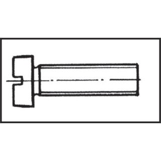 Vis tête bombée 6x50 mm Inox 316 DIN 84 / ISO 1207