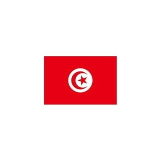 Pavillon Tunisie 30x40 cm