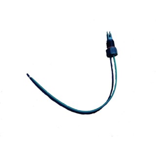 TEMOIN SONORE DE PRESENCE D'EA