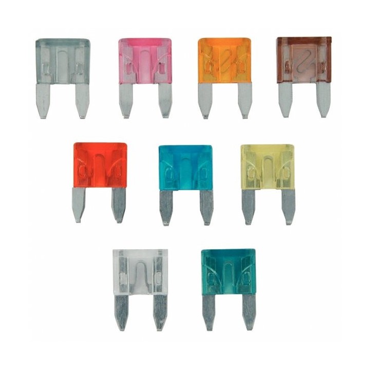 Boîte de 3 fusibles enfichables - plusieurs ampérages | Oloupdemer.com