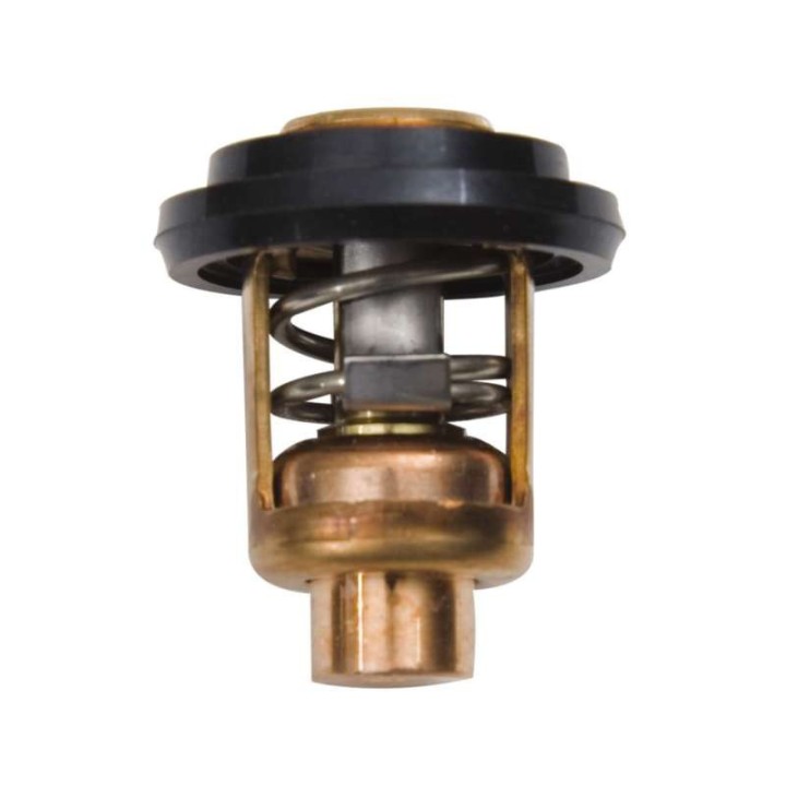 THERMOSTAT JOINT INCLUS