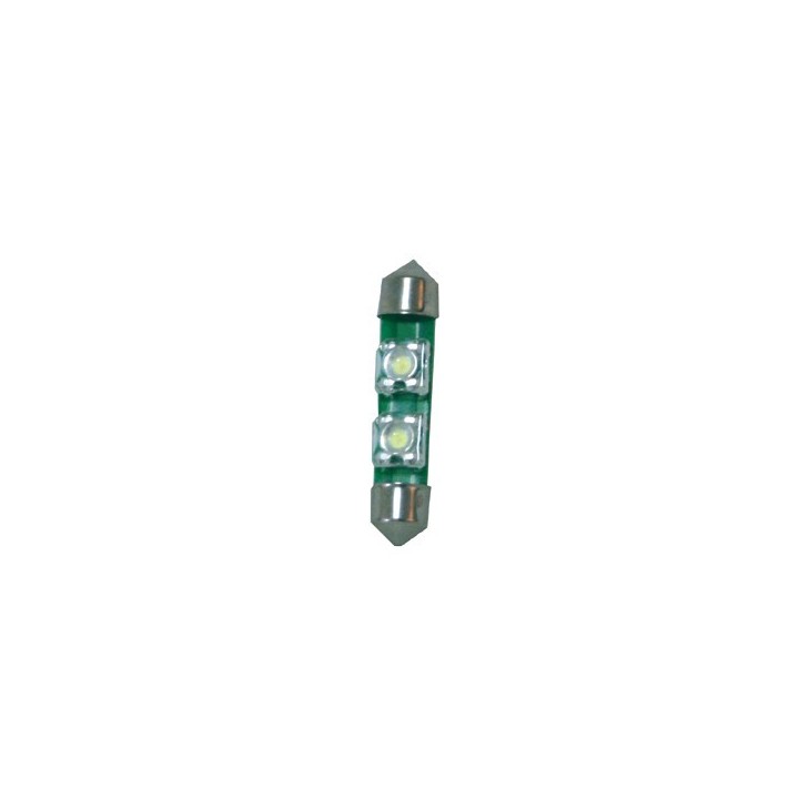 Ampoule LED 12V | Oloupdemer.com