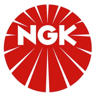 BOUGIE CHAMPION RS9YC