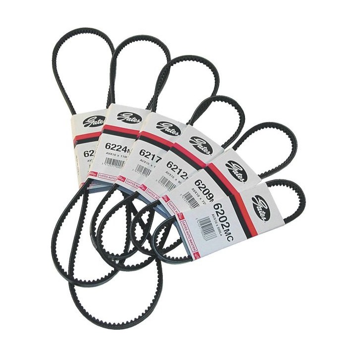 Courroie trapézoïdale - 10mm x 1113mm | Oloupdemer