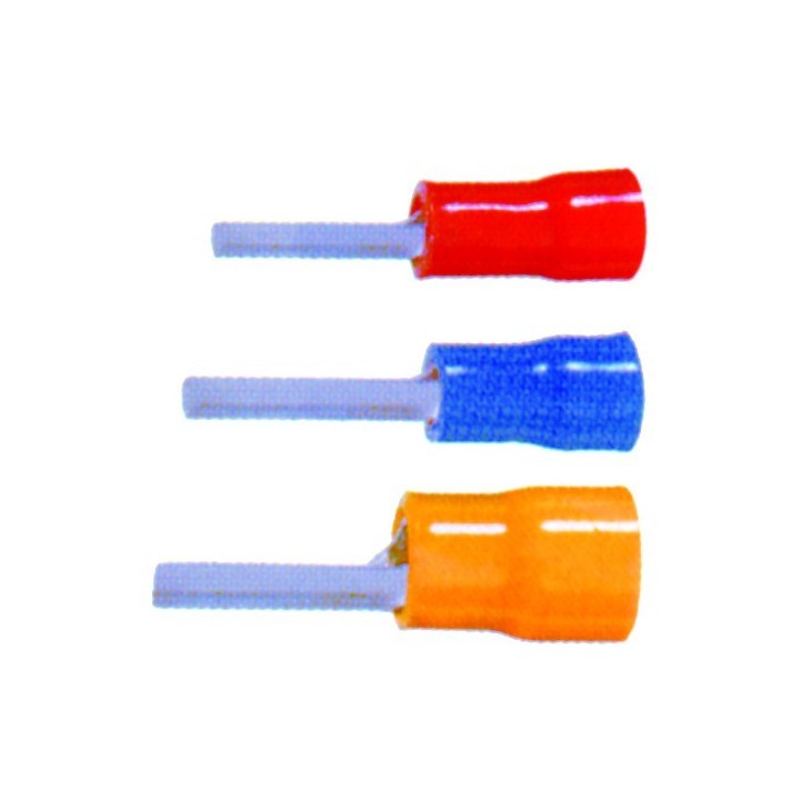 100 COSSES FICHES ROUGE