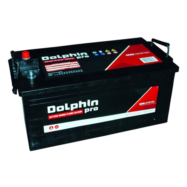 Batterie Dolphin Pro 225 Ah