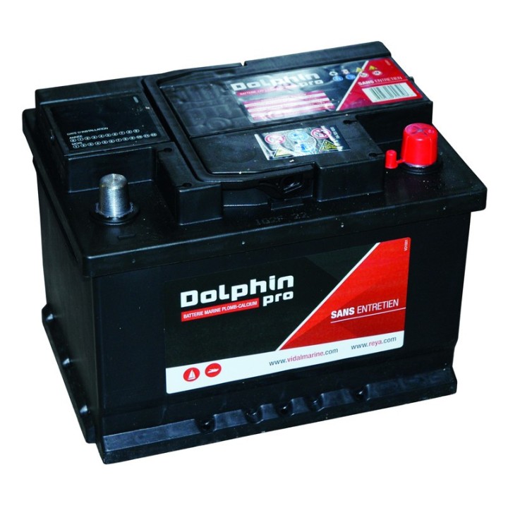 Batterie Marine Dolphin Pro 60Ah