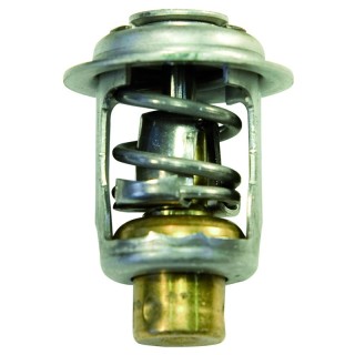 THERMOSTAT MERCURY