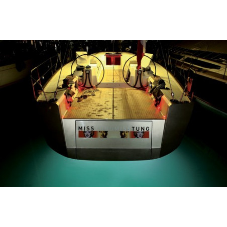 Projecteur sous-marin à LED 
