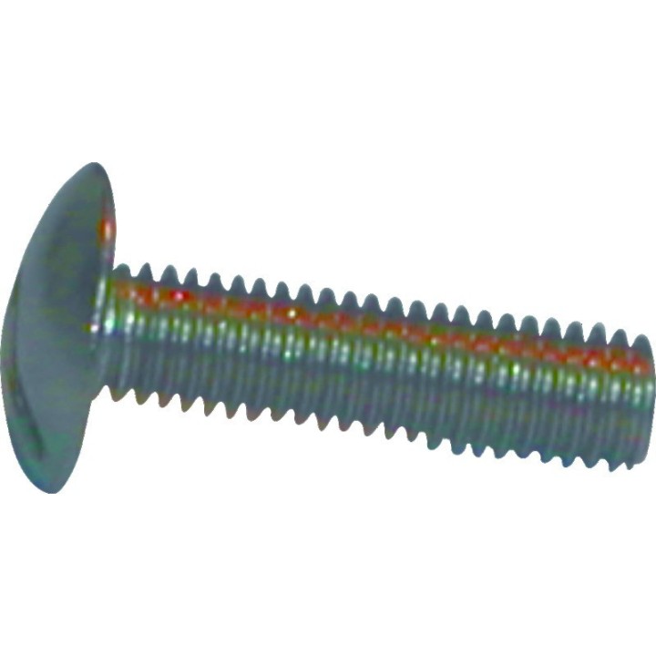 VIS METAUX TETE POELIER 05X30