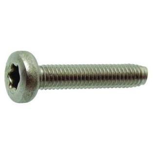 VIS METAUX TC TORX 6X20