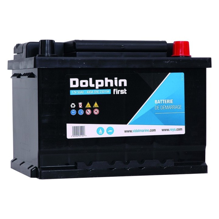 Batterie Dolphin First 110A