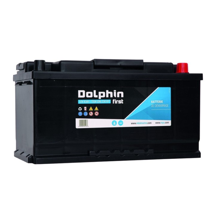 Batterie Dolphin First 95A