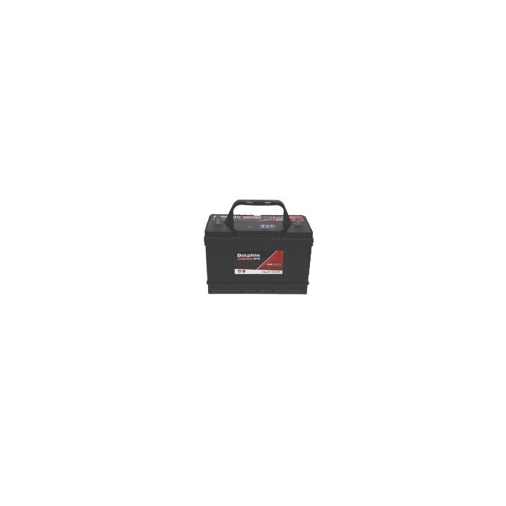 Batterie Marine Dolphin PRO 108Ah