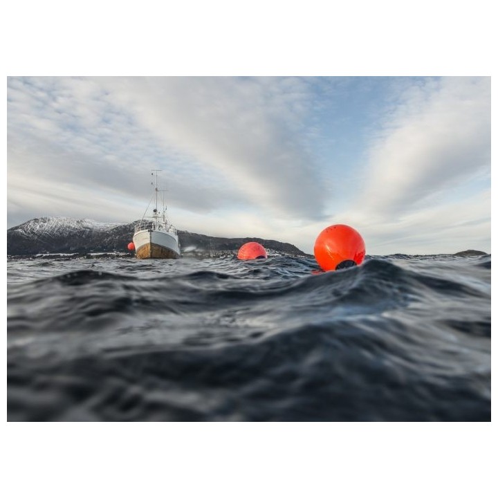 Pare-battage et bouée Polyform A4 rouge/tête bleue