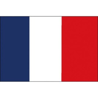 Pavillon national français - conforme aux règles navales