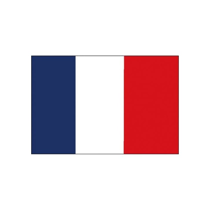 Pavillon national français - conforme aux règles navales