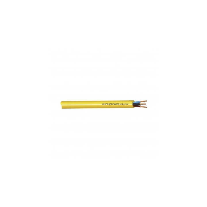Câble Profiplast PBS-SEA 3G6mm²
