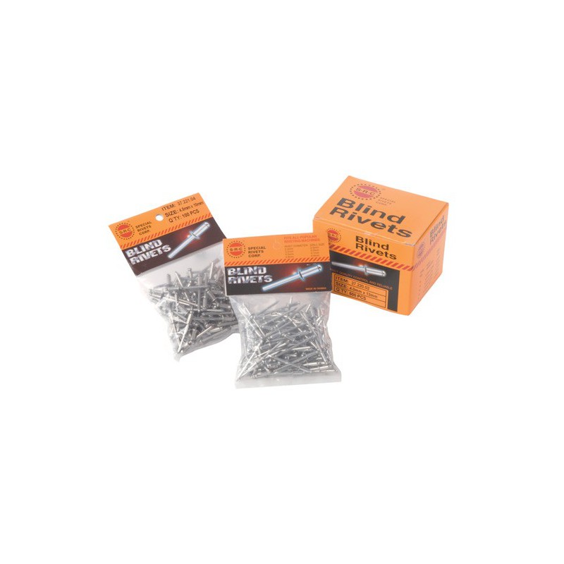 Rivets inox (100pcs) 