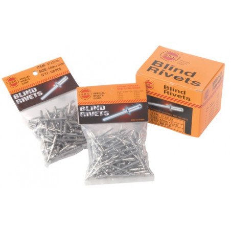 Rivets inox (100pcs) 