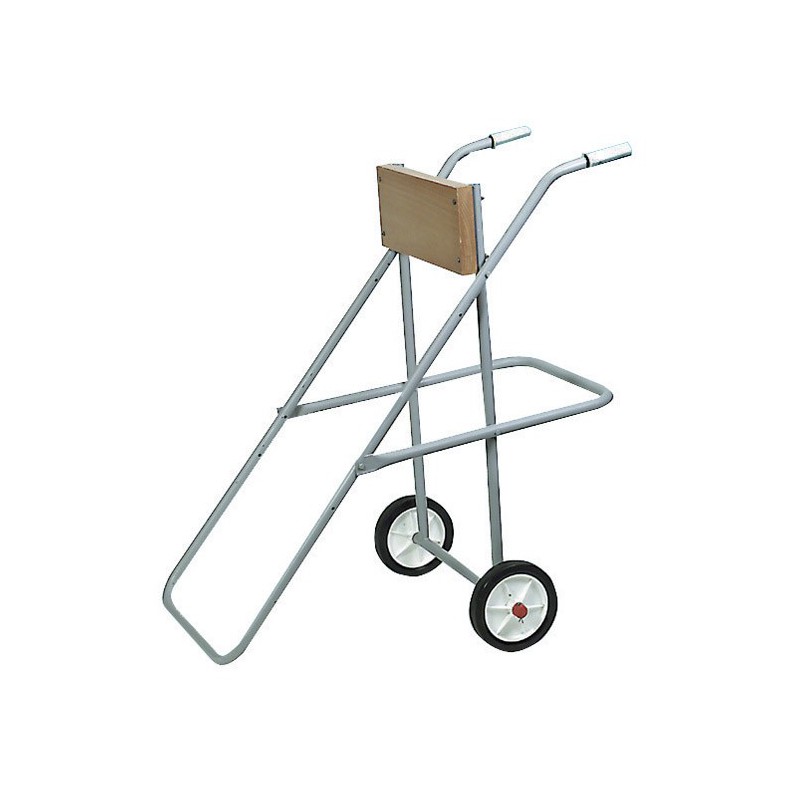 Chariot de transport moteur