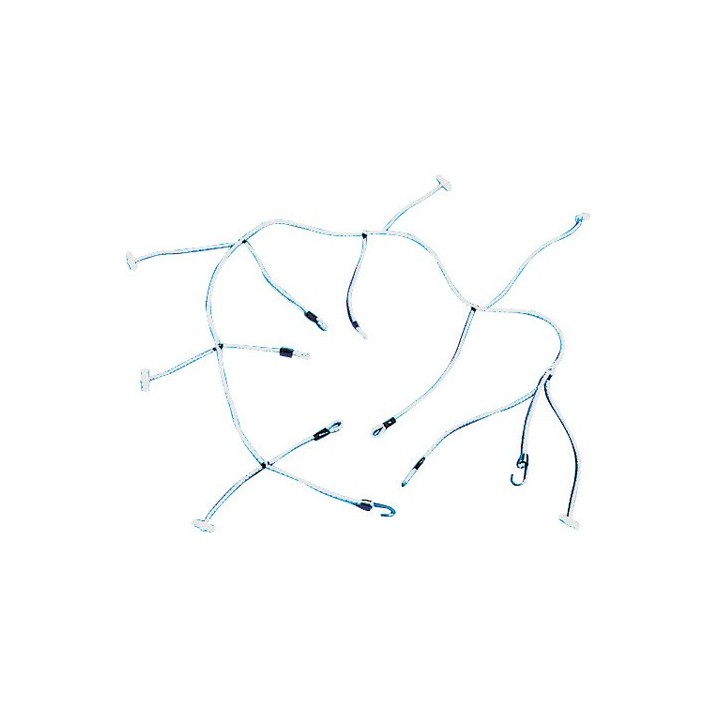 Mille-pattes à ferler