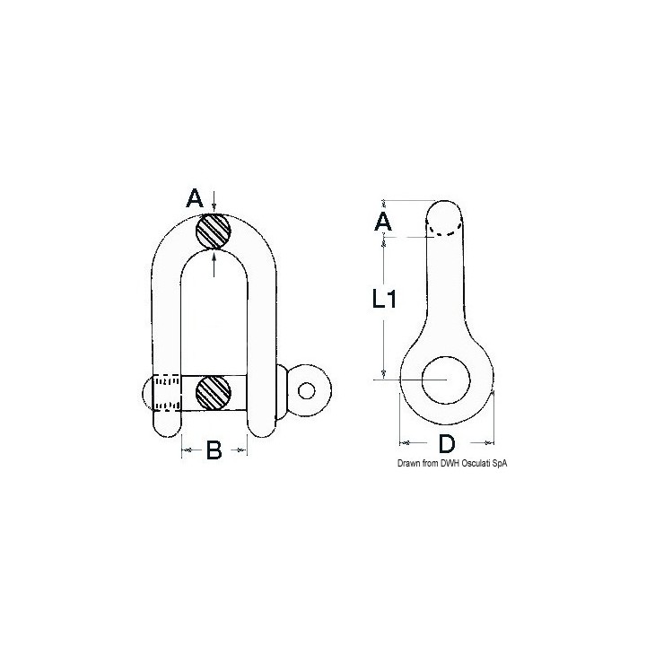 Manille inox 