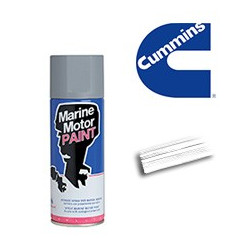  Spray pour moteurs CUMMINS 